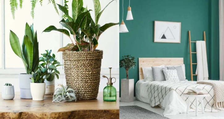 অনিদ্রা দূর