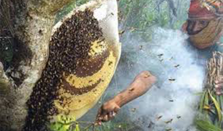 মৌয়ালদের