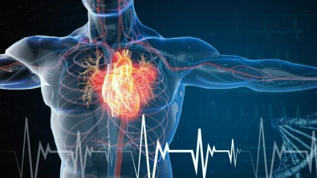 যেসব হৃদরোগীর