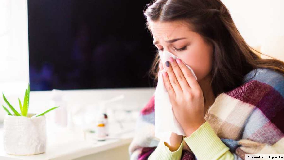 শীতে বন্ধ নাক