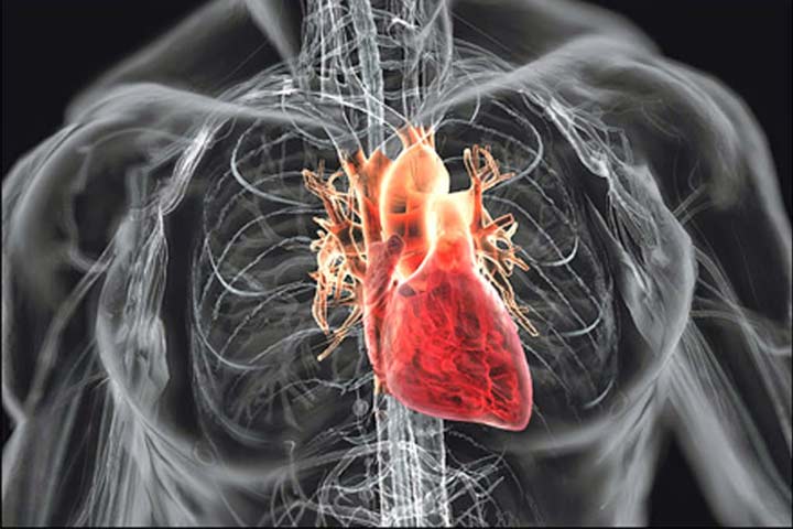 হৃদরোগ এবং খাদ্য