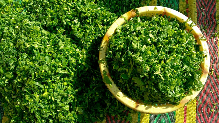 উপকারী শাক