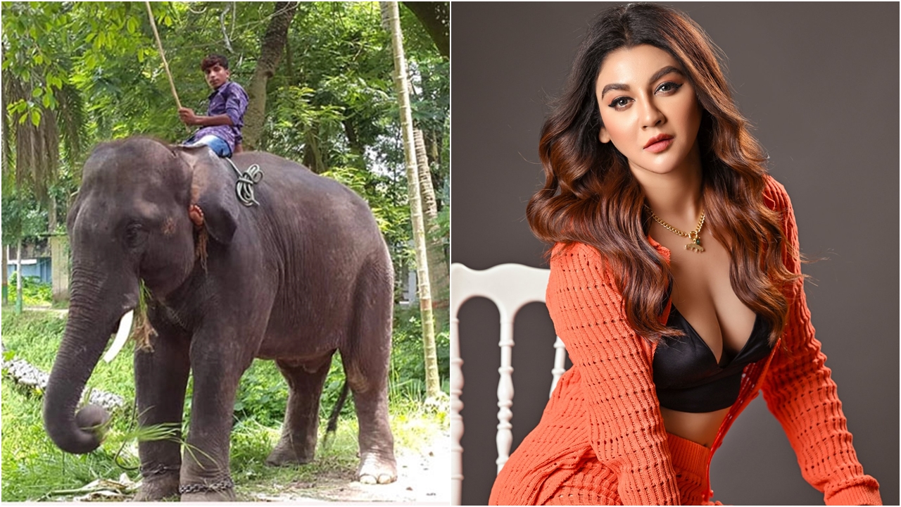 জয়া আহসান