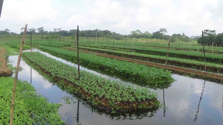 জলবায়ু পরিবর্তন