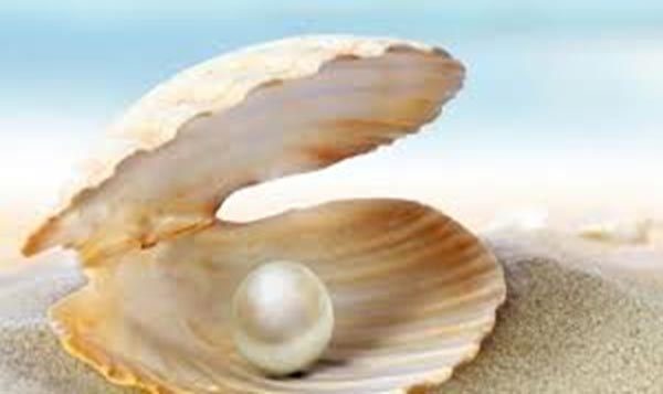 ঝিনুকের ভিতর মুক্তা