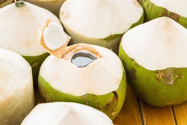 ডাবের পানি