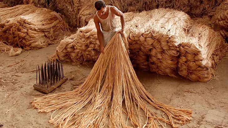 বাংলাদেশের পাট