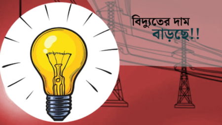 বাড়ছে বিদ্যুতের দাম বিদ্যুতের দাম