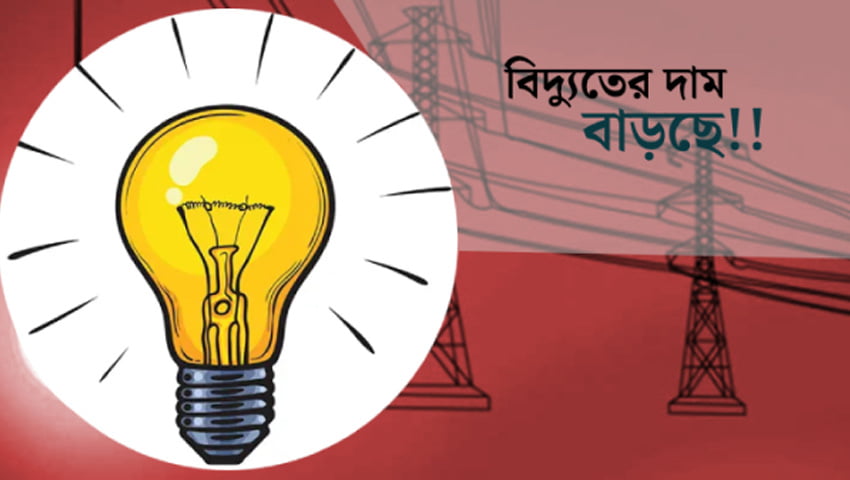 বিদ্যুতের দাম