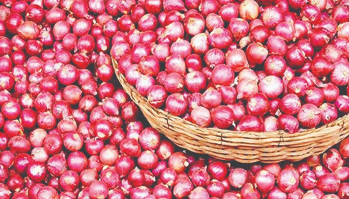 ভারতীয় পেঁয়াজ