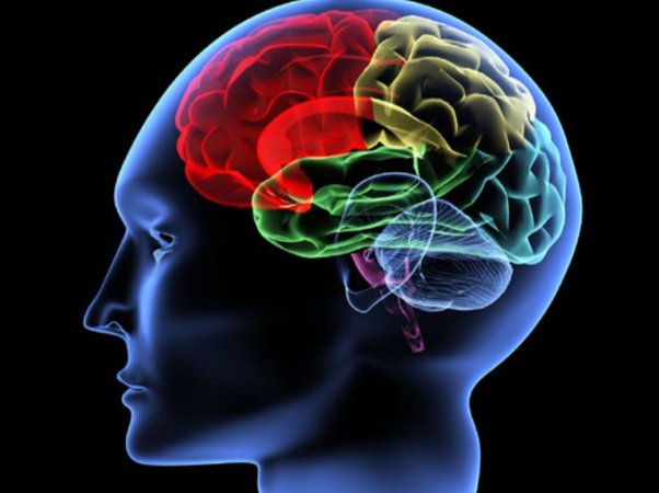 মনে রাখার কৌশল