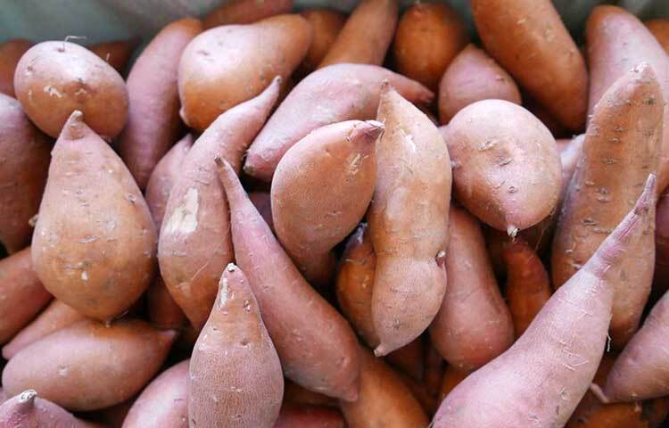 মিষ্টি আলু