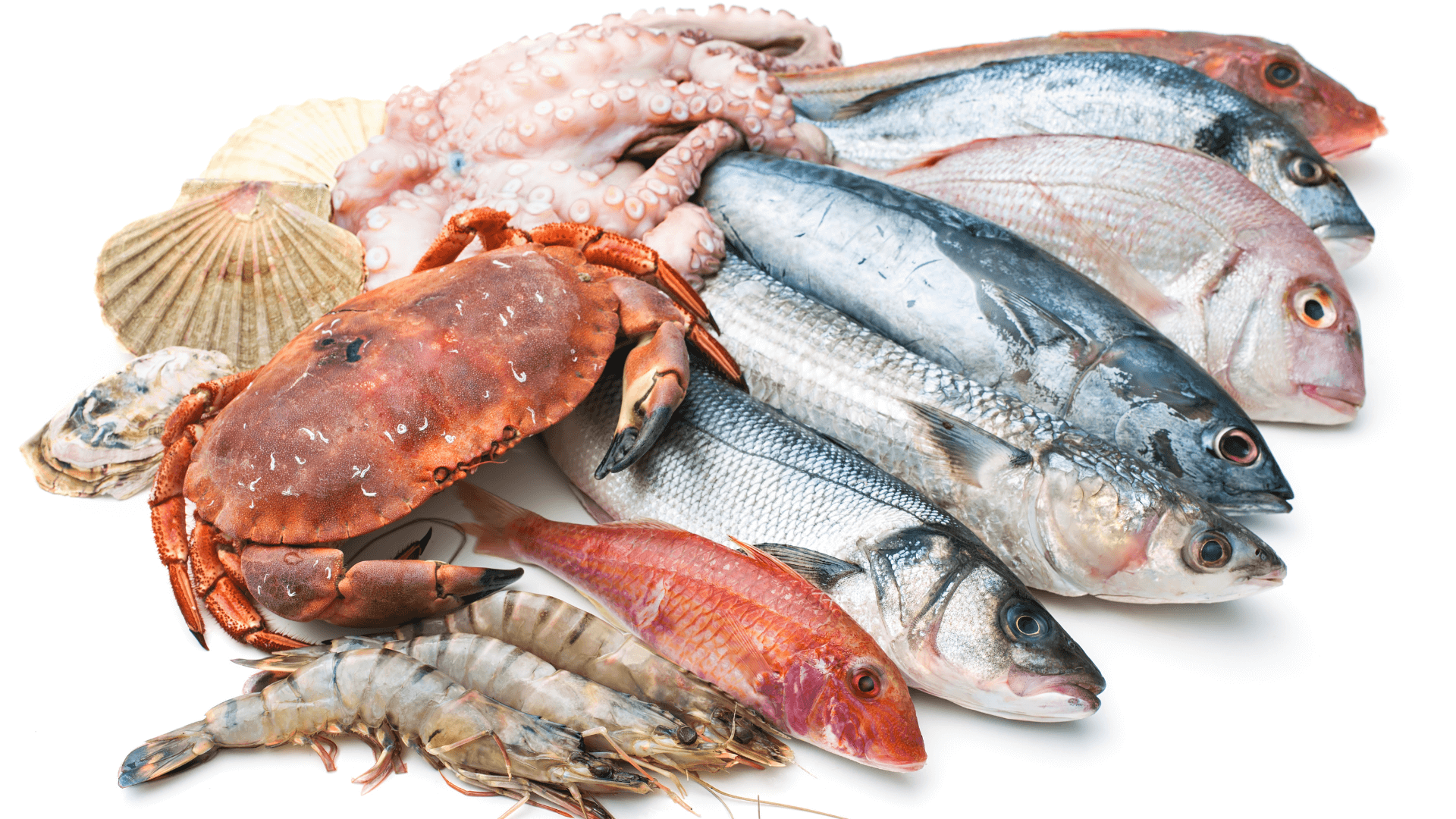 সমুদ্রের খাবার