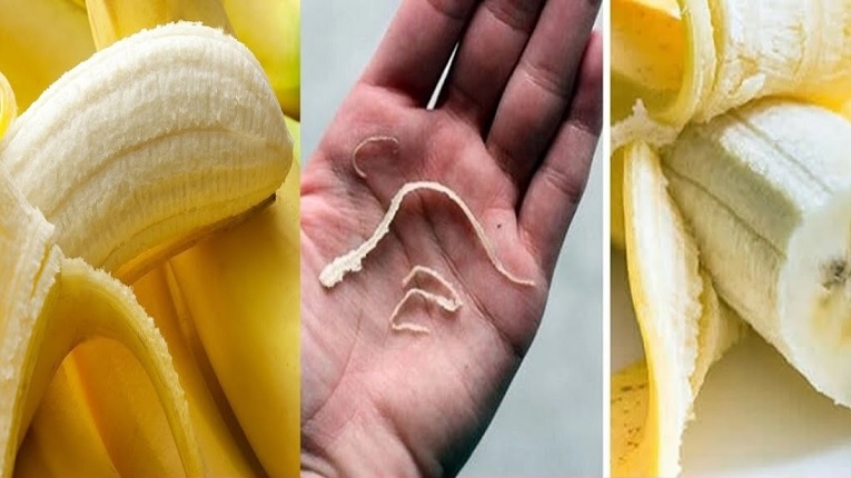 কলার সুতার মতো অংশ