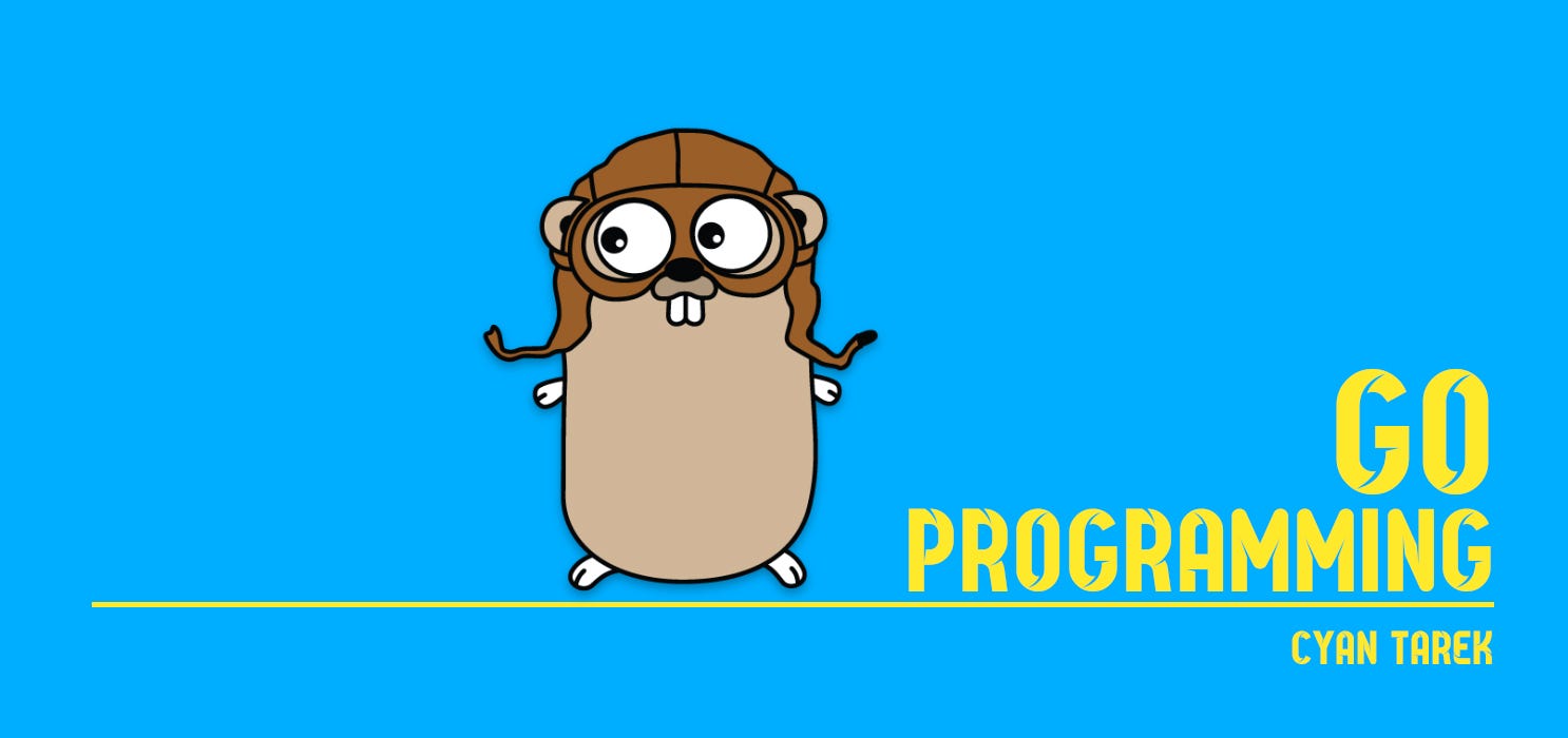 গো-প্রোগ্রামিং