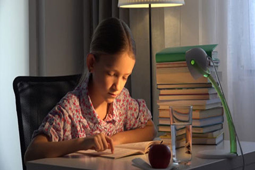 মেধা বিকাশ