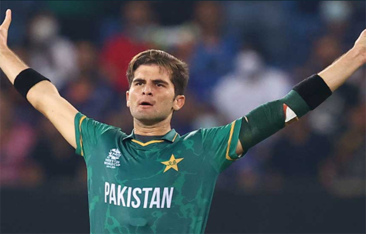 শাহিন শাহ আফ্রিদি