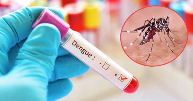 ডেঙ্গু হয়েছে