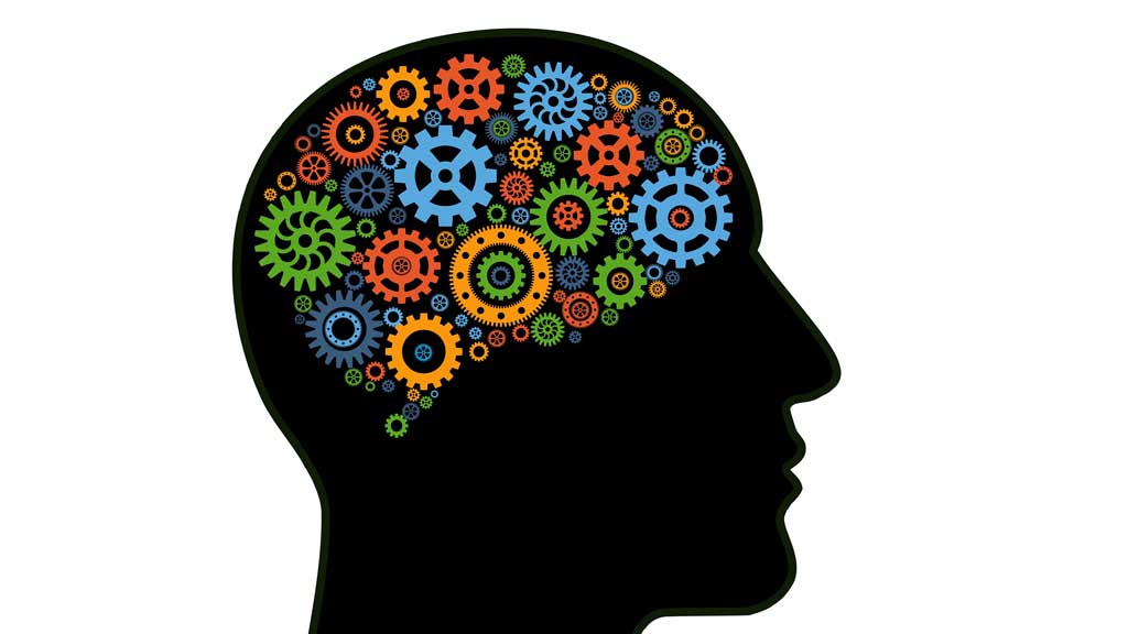 মস্তিষ্কের ক্ষমতা