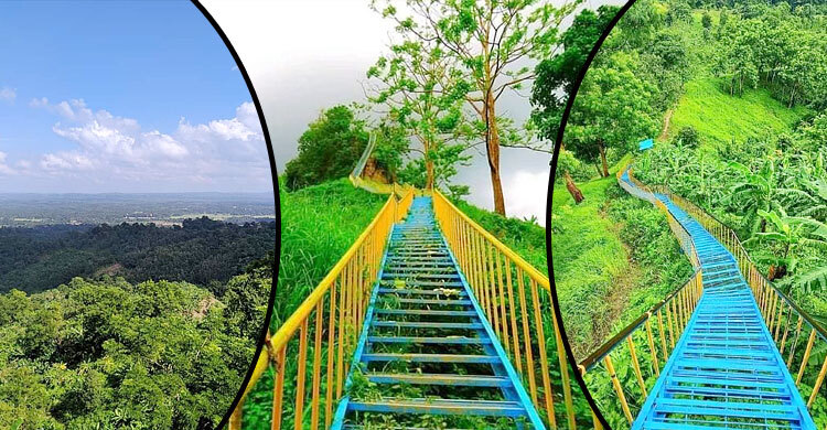 হাতিমাথা স্বর্গের সিঁড়ি