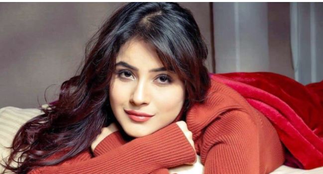 শেহনাজ গিল