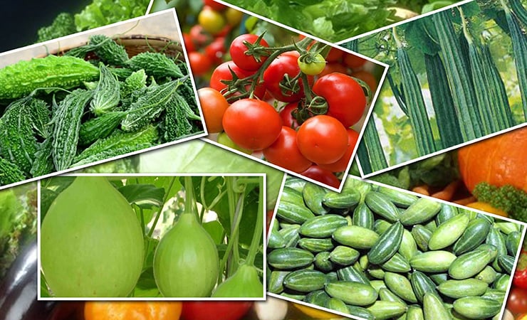 গরমে সবজি খাওয়া